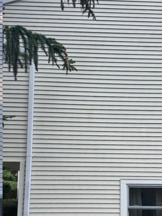 Vinyl siding soft wash — after